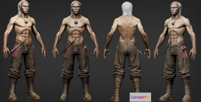 1520352 - PBR Game 3D Models - The Witcher 3D Max
