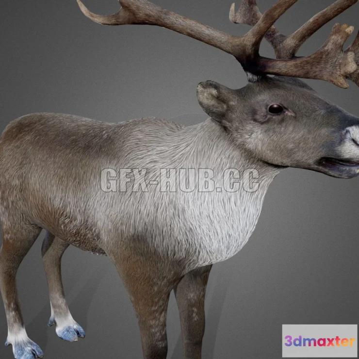 1521026 - PBR Game 3D Models - Reindeer 3D Max
