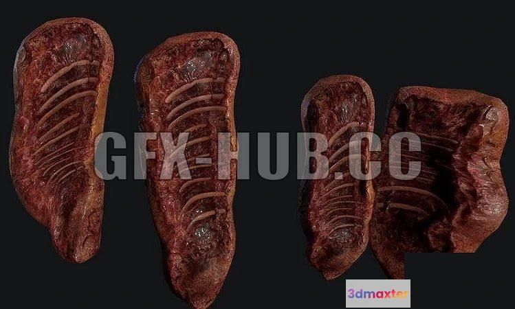 1521448 - PBR Game 3D Models - $GFX-HUBdotCC$Meat gore 3D Max