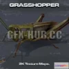 1521486 - PBR Game 3D Models - 999g f x - h u b @ co Grasshopper 3D Max