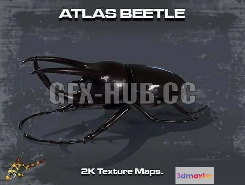 1521568 - PBR Game 3D Models - gfx-hub.cc.the.best.Atlas Beetle 3D Max
