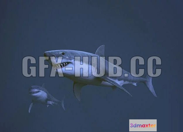 1521592 - PBR Game 3D Models - more at=gfx-hub.dot.coGreat white shark 3D Max
