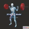 1521804 - PBR Game 3D Models - 1Barbell Back Squat Ar Ready 3D Max