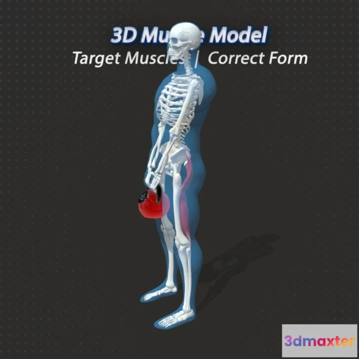 1521900 - PBR Game 3D Models - 46 Kettlebell Rdl 3D Max