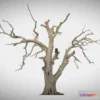 1521918 - PBR Game 3D Models - 600 Year Old Dead Oak Ent 03 3D Max