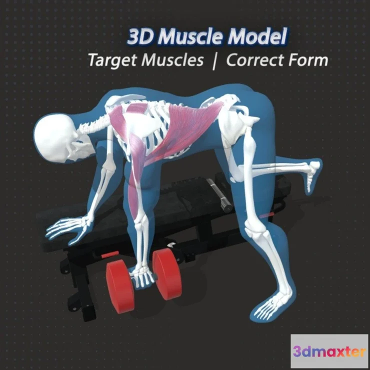 1521924 - PBR Game 3D Models - 63 The Single Arm Row Sar 3D Max