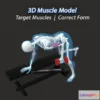 1521926 - PBR Game 3D Models - 63 Tricep Kickbacks Dumbbell 3D Max