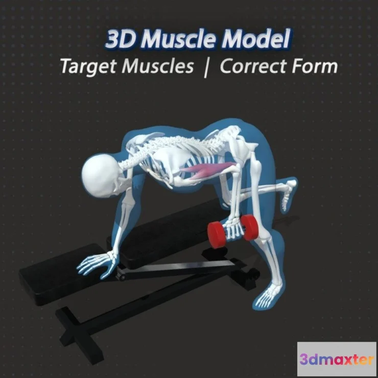 1521926 - PBR Game 3D Models - 63 Tricep Kickbacks Dumbbell 3D Max