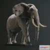 1521980 - PBR Game 3D Models - African Elephant Pbr Low Poly 3D Max