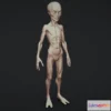 1522030 - PBR Game 3D Models - Alien Humanoid 3D Max
