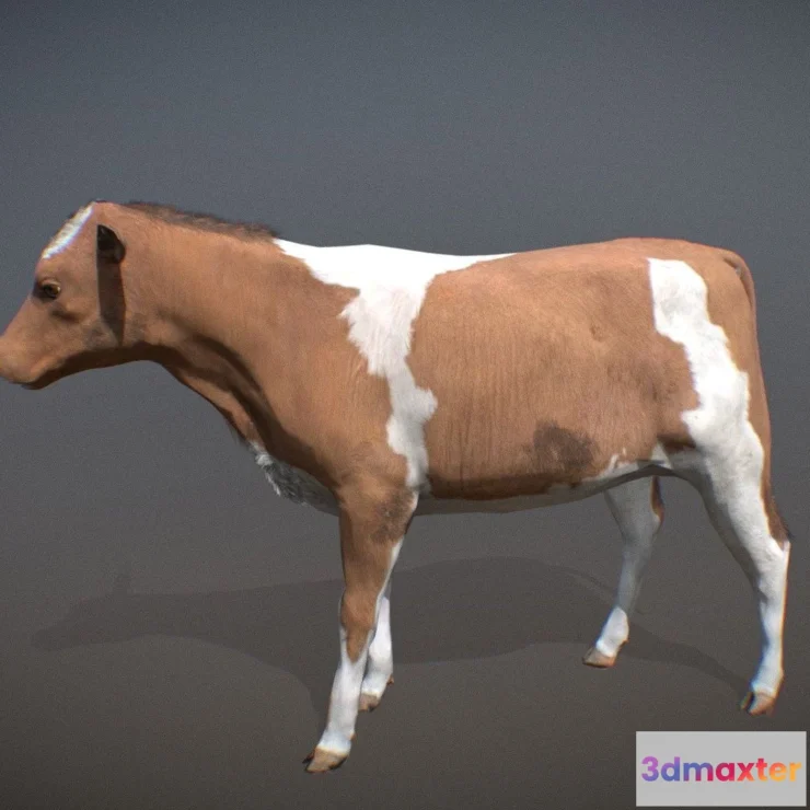 1522084 - PBR Game 3D Models - Animalia Cow Young 3D Max