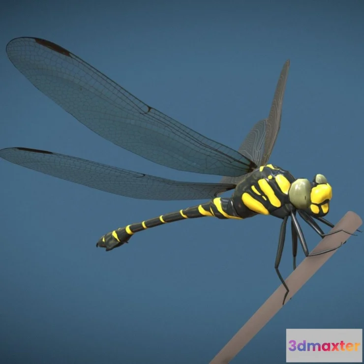 1522088 - PBR Game 3D Models - Animated dragonfly 3D Max