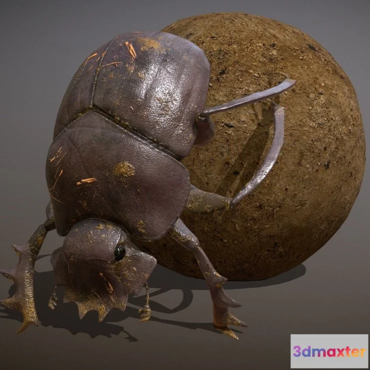 1522090 - PBR Game 3D Models - Animated Dung beetle 3D Max
