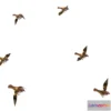 1522094 - PBR Game 3D Models - Animated Flock Sparrow Birds Lowpoly Art Style 3D Max