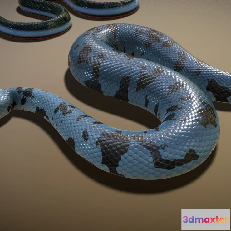 1522108 - PBR Game 3D Models - Animated Snakes Pack 3D Max
