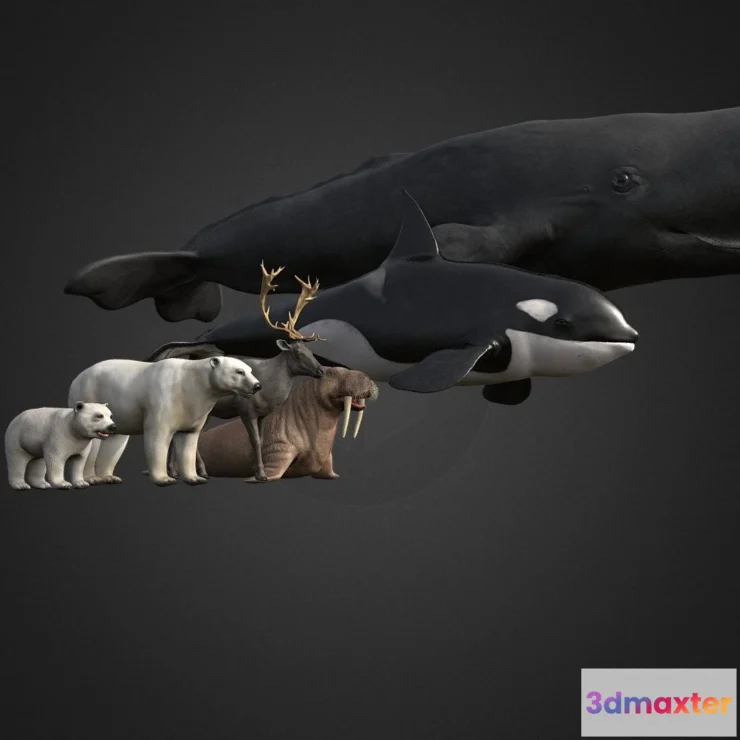 1522190 - PBR Game 3D Models - Arctic Animal Pack 3D Max