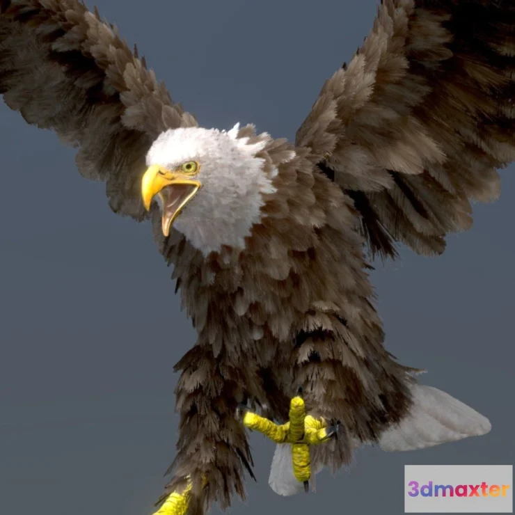 1522246 - PBR Game 3D Models - Bald Eagle 3D Max