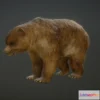 1522286 - PBR Game 3D Models - Bear Animations 3D Max