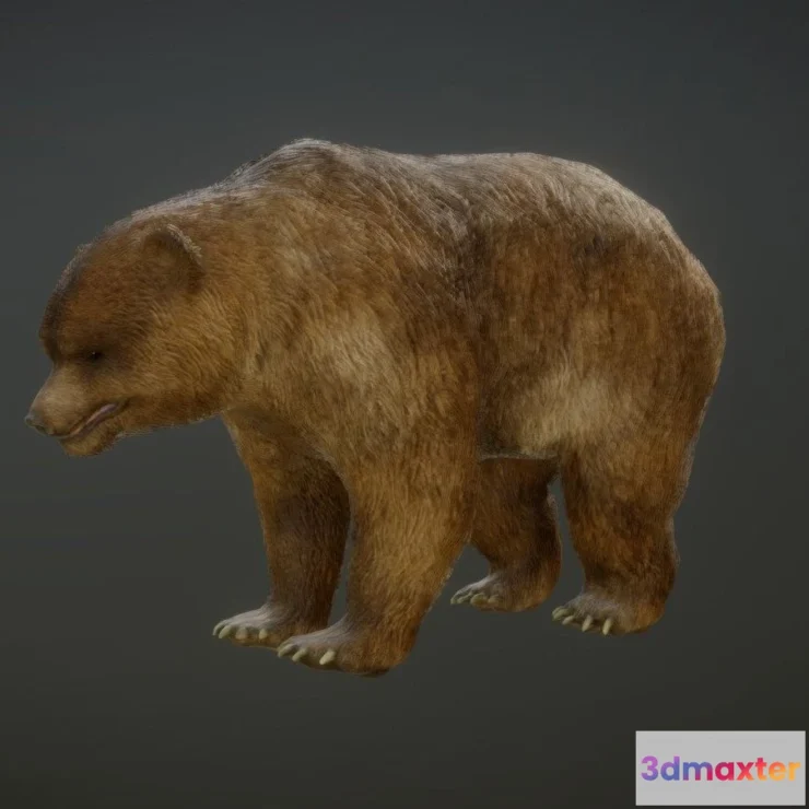 1522286 - PBR Game 3D Models - Bear Animations 3D Max
