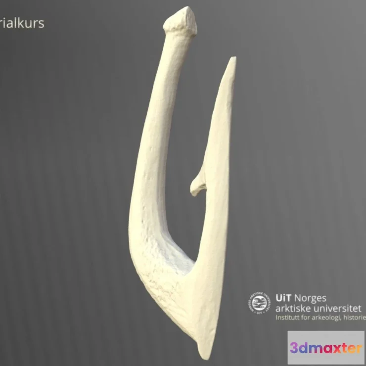 1522294 - PBR Game 3D Models - Beinangel Ts5526eo 3D Max