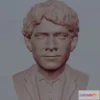 1522306 - PBR Game 3D Models - Bilbo Baggins Hobbit Bust 3D Printing Ready 3D Max