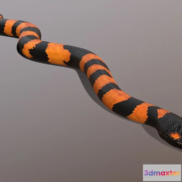 1522312 - PBR Game 3D Models - Bismarck Ringed Python Animated 3D Max
