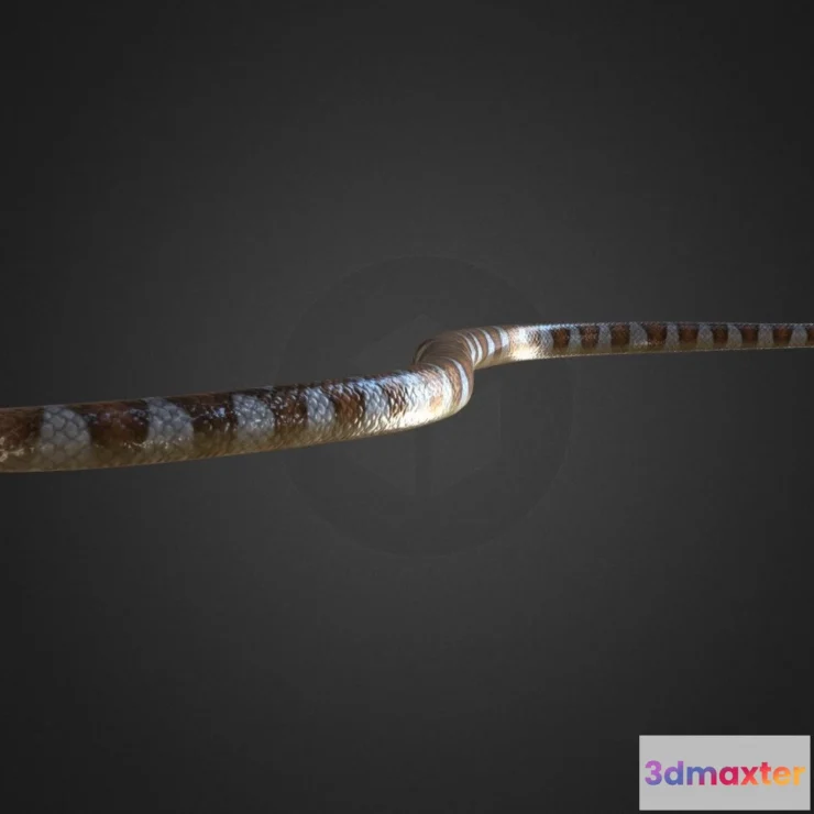 1522316 - PBR Game 3D Models - Black Banded Sea Krait Rigged 3D Max
