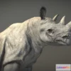 1522328 - PBR Game 3D Models - Black Rhinoceros 3D Max