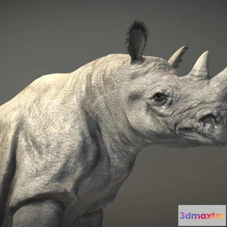1522328 - PBR Game 3D Models - Black Rhinoceros 3D Max