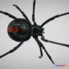 1522330 - PBR Game 3D Models - Black widow spider 3D Max