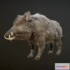 1522380 - PBR Game 3D Models - Boar Animations 3D Max