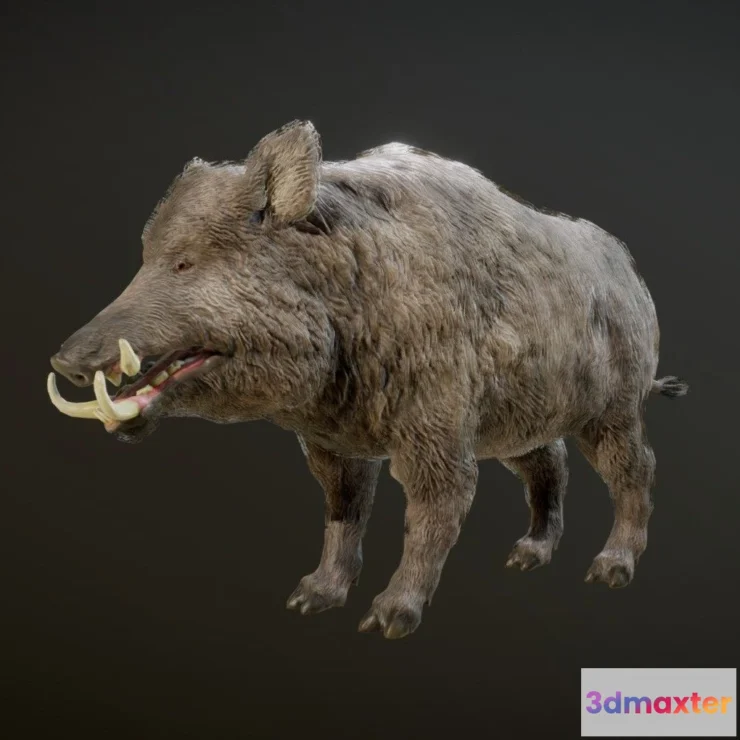 1522380 - PBR Game 3D Models - Boar Animations 3D Max