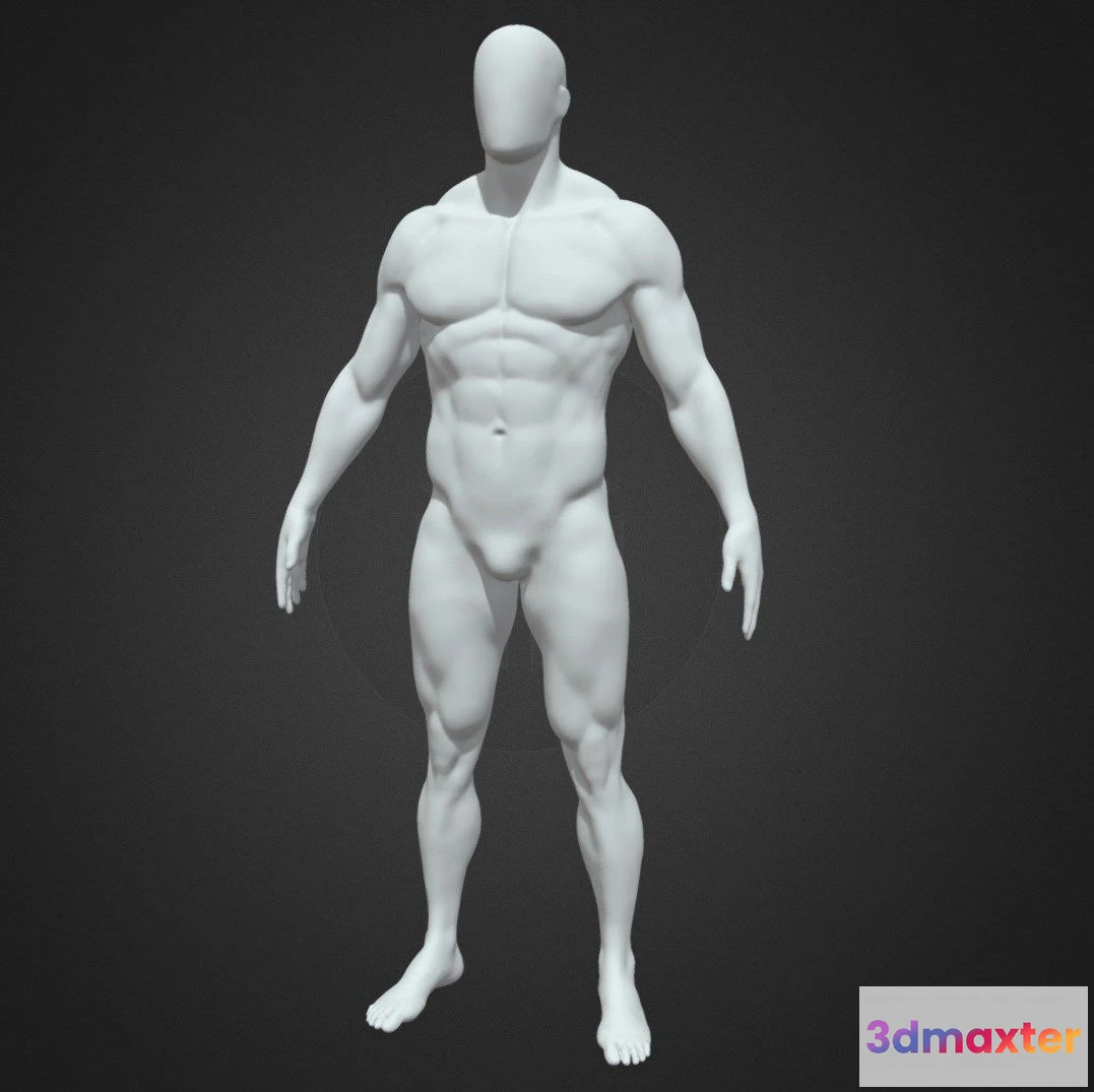 1522386 - PBR Game 3D Models - Body Male 3D Max