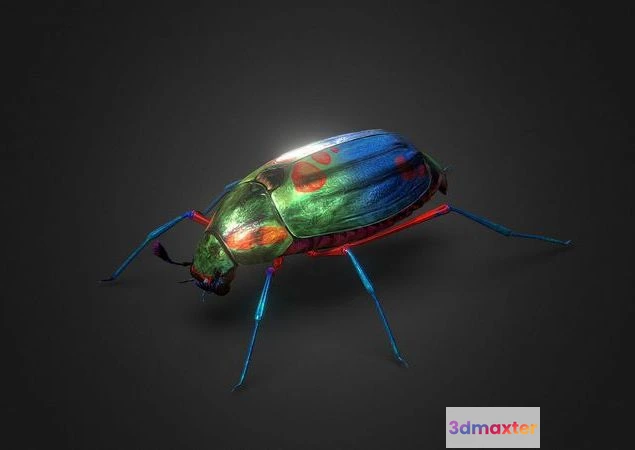 1522428 - PBR Game 3D Models - Bug Indian Jewel Beetle 3D Max
