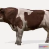 1522448 - PBR Game 3D Models - Bull Animations 3D Max