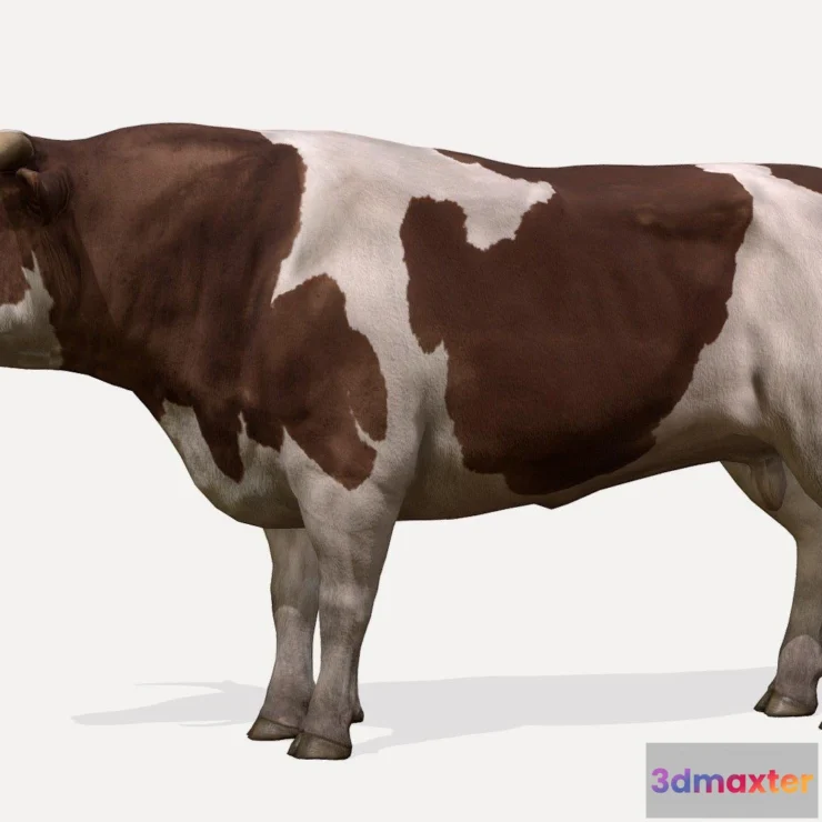 1522448 - PBR Game 3D Models - Bull Animations 3D Max