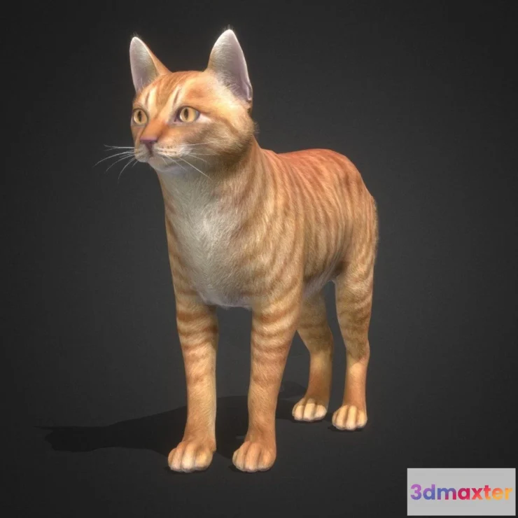 1522510 - PBR Game 3D Models - Cat Simple 3D Max