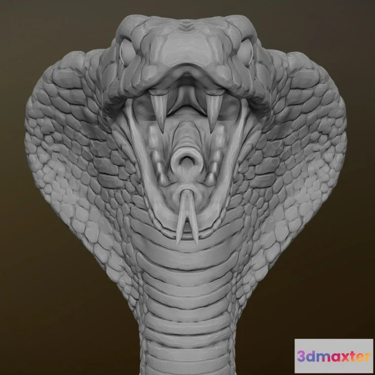 1522582 - PBR Game 3D Models - Cobra Head 3D Max