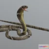 1522584 - PBR Game 3D Models - Cobra Snake 3D Max