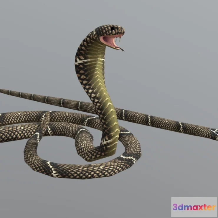 1522584 - PBR Game 3D Models - Cobra Snake 3D Max