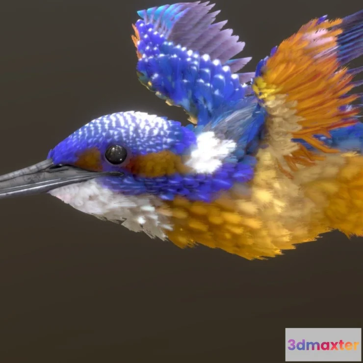 1522602 - PBR Game 3D Models - Common Kingfisher 3D Max