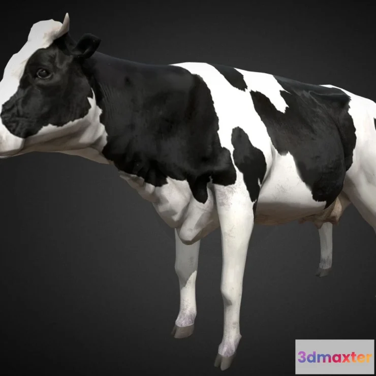 1522634 - PBR Game 3D Models - Cow 3D Max