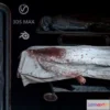 1522838 - PBR Game 3D Models - Corpses morgue Bodybags 3D Max