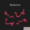 1522914 - PBR Game 3D Models - Ebola Virus 3D Max