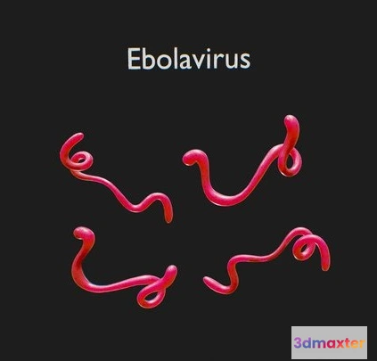 1522914 - PBR Game 3D Models - Ebola Virus 3D Max