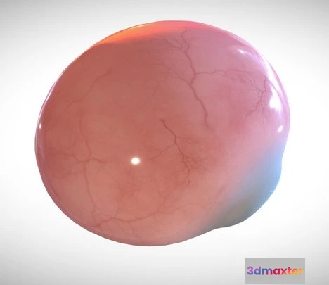 1522944 - PBR Game 3D Models - Eye Full Section Week Eight 3D Max