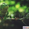1523008 - PBR Game 3D Models - Frog tree 3D Max
