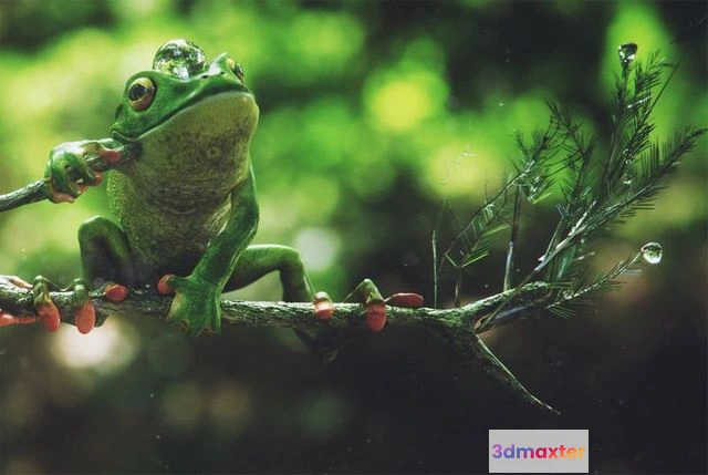 1523008 - PBR Game 3D Models - Frog tree 3D Max