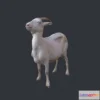 1523028 - PBR Game 3D Models - Goat 3D Max