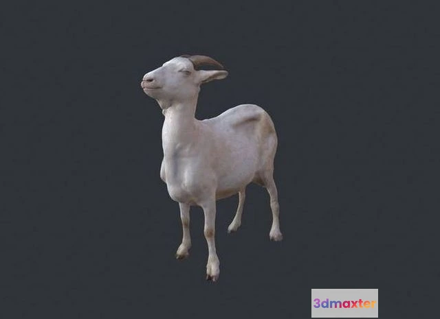 1523028 - PBR Game 3D Models - Goat 3D Max